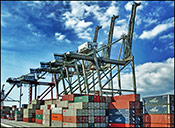 Cranes
